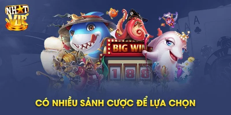 Tại sao Bắn cá phát phát lại nhận được nhiều sự quan tâm?