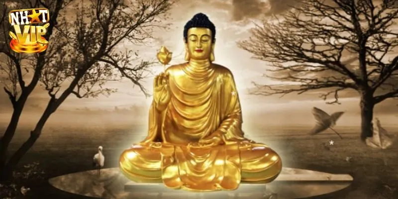 Mơ Thấy Tượng Phật - Giải Mã Ý Nghĩa Con Số Cùng Nhatvip Mơ Thấy Tượng Phật - Giải Mã Ý Nghĩa Con Số Cùng Nhatvip