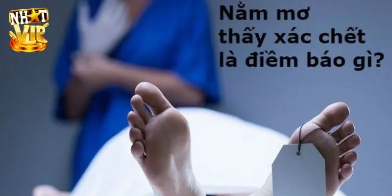 Mơ Thấy Xác Chết - Giải Mã Giấc Mơ Và Con Số Tài Lộc May Mắn Mơ Thấy Xác Chết - Giải Mã Giấc Mơ Và Con Số Tài Lộc May Mắn