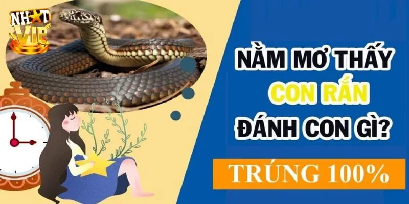Mơ Thấy Rắn - Nhatvip Giải Mã Con Số May Mắn Dễ Trúng Nhất Mơ Thấy Rắn - Nhatvip Giải Mã Con Số May Mắn Dễ Trúng Nhất